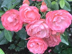 -人民公园(罗湖区)