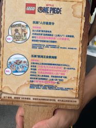 -乐高品牌旗舰店(人民广场店)