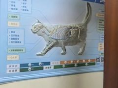 -艾贝尔宠物医院 ·内科全科(梁溪路店)