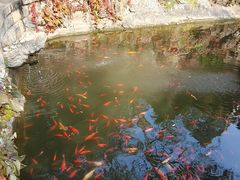 -红螺寺