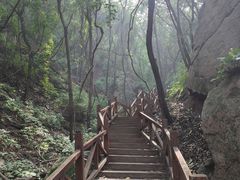 -大岭沟猕猴桃谷风景区