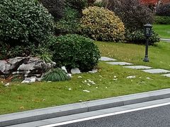 -也枫·小黄楼(南山路旗舰店)