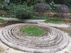 -金花茶公园
