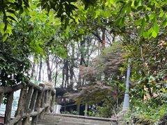 -巴倒烫陆派重庆火锅(南山店)