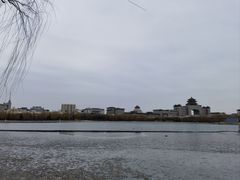-莲花池公园