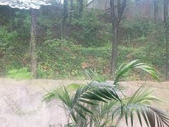 -恬阿姨庭院餐厅·生日宴