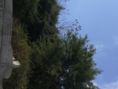 -龙头寺公园