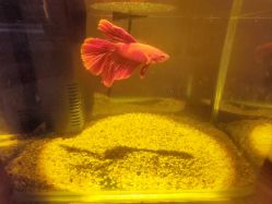 -An Ting岸汀·美容SPA