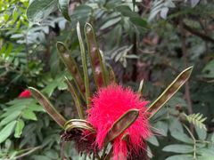 -华侨城湿地公园