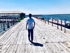 -乌梁素海景区