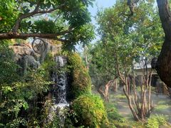 -Chom Cafe and Restaurant