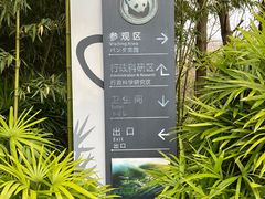 -都江堰中华大熊猫苑