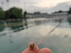 -柳浪游泳场