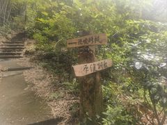-广州市帽峰山景区