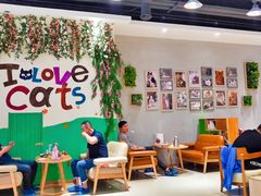 -藏猫猫咖啡主题馆(中央大道店)