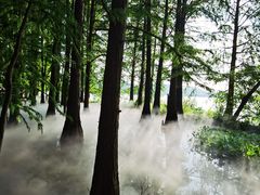 -东湖落雁景区