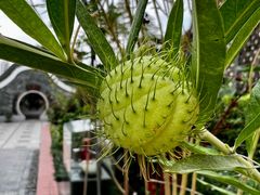 -广州神农草堂中医药博物馆