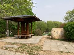-莫子山公园