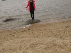 -瑶湖郊野森林公园