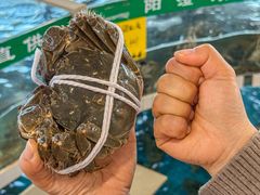 -品鲜村农家菜·阳澄湖大闸蟹(总店)