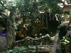 -多彩贵州城极地海洋世界