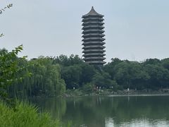 -农园餐厅(北京大学店)