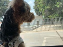 -爱诺耐芙动物医院(万博店)