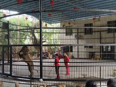 -广东茂名森林公园