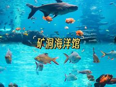 -长鹿旅游休博园