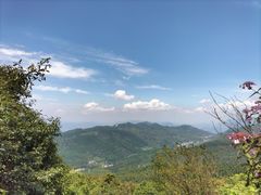 -武陵山森林公园