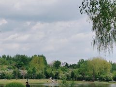 -群力丁香公园
