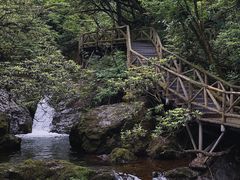 -龙苍沟森林公园