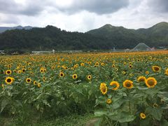 -云和湖仙宫景区
