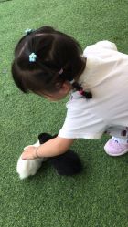 -萌宠亲子动物乐园(槐房万达店)