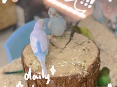 -怪兽屋·羊驼·猫咖·狗咖(俊华广场店)