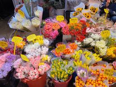 -循礼门鲜花花市(武汉循礼门店)