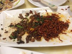 -老昌春饼(迅驰广场店)