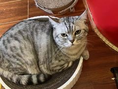 -H立方实景剧情密室(天河旗舰店)