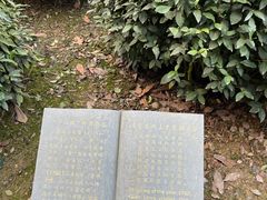 -十八棵（老龙井）御茶园(老龙井店)