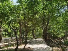 -玉渡山自然风景区