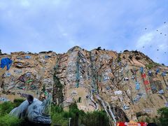 -西霞口神雕山野生动物世界