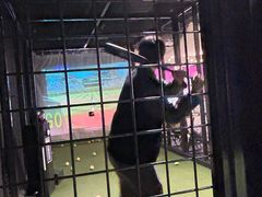-VS SPORTS PARK运动玩乐园·团建·生日会(合生汇店)