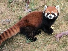 -泉州海丝野生动物世界