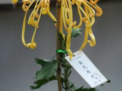 -共青国家森林公园-售票处