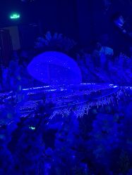 -格乐利雅婚礼艺术中心(南外滩店)