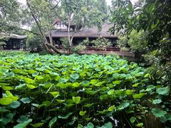 -成都武侯祠博物馆