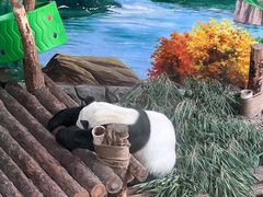 -青藏高原野生动物园