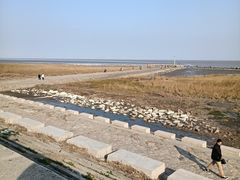 -南汇嘴观海公园