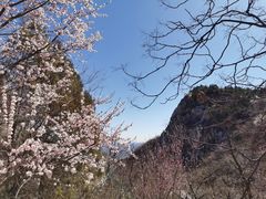 -北京凤凰岭