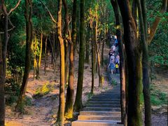 -火炉山森林公园